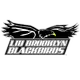 LIU Brooklyn Logo